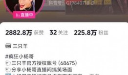 河东主播被杀爆料新闻,真相背后，网络暴力与正义的较量